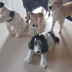 China Dogs (5)