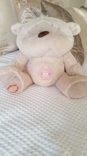 Fizzy Moon Teddy Bear