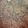 Free Garden Soil - Collection Only in Citywest/D24 Image 2