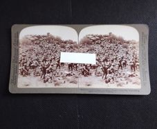 Boer War : Stereoscopic Photo Card " Methuen's Gallant Infantry " 1900s