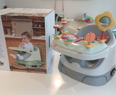 Baby Bug 3 in 1 Chair