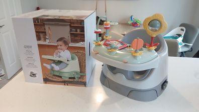 Baby Bug 3 in 1 Chair