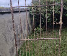 Old Vintage Antique Gate