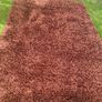 rug Image 3