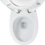 Toilet Hanging Wall Toilet Rose Star with Soft-Close Lid, Ceramic Image 4