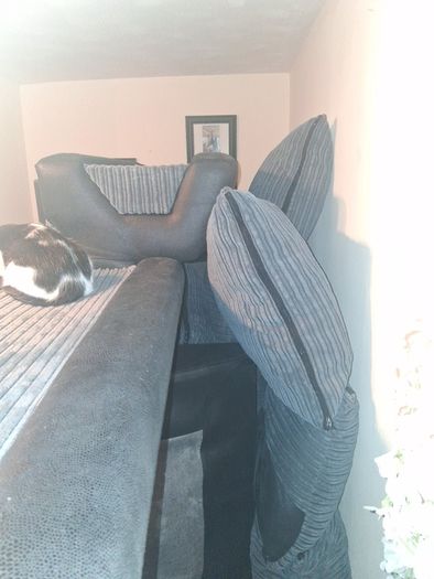 free sofa