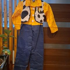 costume toy story