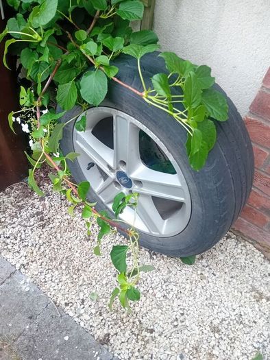 2010 Ford Focus