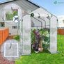 Walk In Greenhouse with Shelves, Image 6