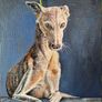 #2 Spanish Greyhound / Galgo Espaniol / oil painting on canvas panel Image 2