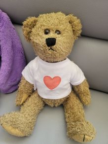 Teddy Bear Like New Plush Toys Teddies Soft Toys Comforter