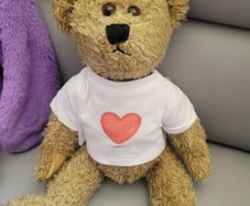 Teddy Bear Like New Plush Toys Teddies Soft Toys Comforter