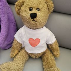 Teddy Bear Like New Plush Toys Teddies Soft Toys Comforter