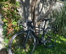 racer bike