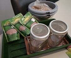 Sprouting