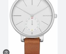 Skagen Gagen Womens Watch SKW2434