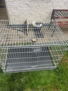 dog cage