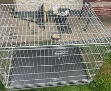 dog cage