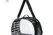 Transparent Cat Carrier