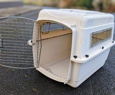Petmate Sky Kennel - for cat or dog