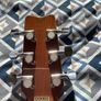 1986 Washburn Monterey Image 7