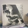 job lot 12" Image 2