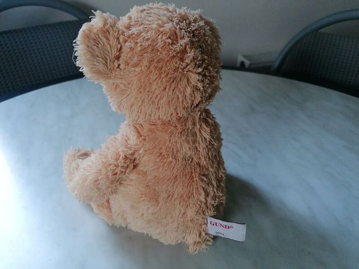 Teddy Bear