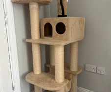 Cats tree