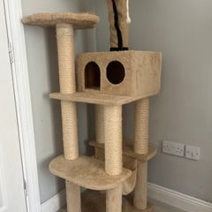 Cats tree