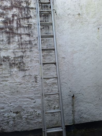 Extension Ladder
