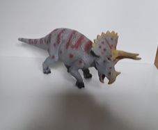Dinosaur/Triceratops
