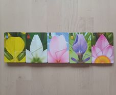 Lotus Strategy Card Game Spare Replacement Cards Full Set