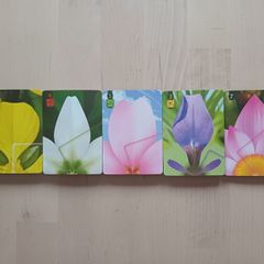 Lotus Strategy Card Game Spare Replacement Cards Full Set