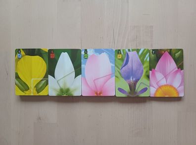 Lotus Strategy Card Game Spare Replacement Cards Full Set