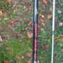 Complete Fishing Kit Pike/Carp/Tench/Bream Image 6
