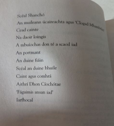 Don Quixote Irish Translation Book