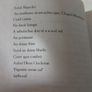 Don Quixote Irish Translation Book Image 3