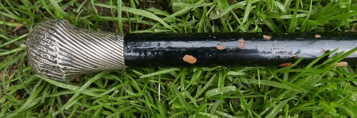 Antique Silver Handled Walking Stick. Twisted Silver Finish Handle