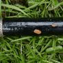 Antique Silver Handled Walking Stick. Twisted Silver Finish Handle Image 3