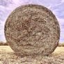 Square bales Image 3