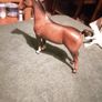 porcelain horse Image 4