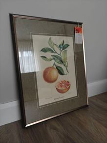 Wall Art Brand New