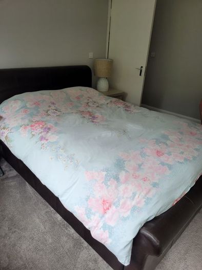 King Bed and Mattress