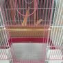 pink bird cage Image 2