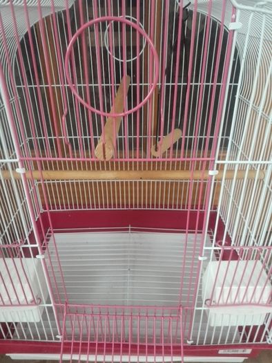 pink bird cage