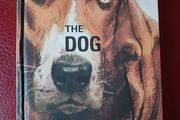 Ladybird / How it Works/ The Dog / 2016