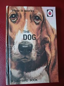 Ladybird / How it Works/ The Dog / 2016