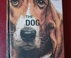 Ladybird / How it Works/ The Dog / 2016