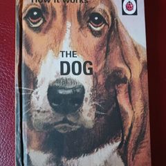 Ladybird / How it Works/ The Dog / 2016
