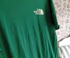 The north face t shirt